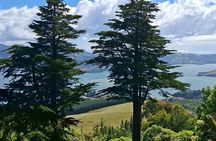 Experience Dunedin and Otago Peninsula Tours For Up To 4 people