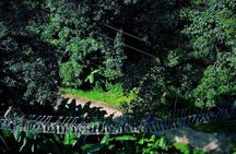 Sky Hawk Zipline Chiang Mai – Ultimate Canopy Adventure