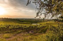 From Siena Brunello di Montalcino Wine Tour with Lunch