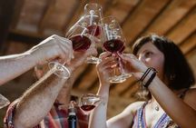 From Siena Brunello di Montalcino Wine Tour with Lunch