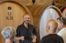 From Siena Brunello di Montalcino Wine Tour with Lunch