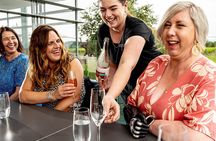Hawke Bay Great Wine Capital Group Tour