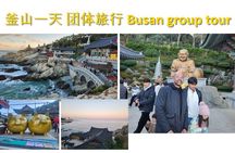 [small group] Busan Tour for Cruise ship passengers