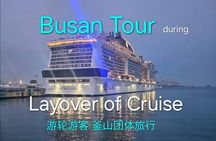 [small group] Busan Tour for Cruise ship passengers