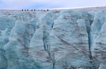 Glacier Half Day Tour on Stygge