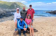 1 Day Garden Route Tour to Tsitsikamma from Port Elizabeth 
