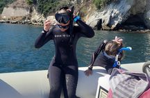 Snorkeling in the Bay Submerged Park