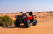 Dubai 4-5 hours Private Quad Bike Tour, Camel Ride and Softdrinks