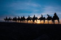 Marrakech Quad Biking Camel Ride Sunset Dinner and Show 
