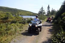 All-Terrain Vehicle Tour in Trinity Newfoundland and Labrador
