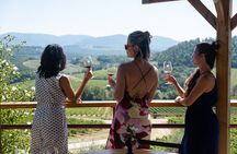 Chianti Wine Tour with 3 Wineries, Food Pairings and Tuscan Lunch