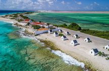 Kralendijk Tours in South Side