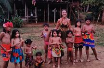 Embera Village Tour: Hidden Waterfall & Cultural Immersion 