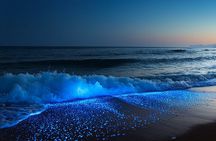 Full Clear Kayak Bioluminescent Experience Vieques, Puerto Rico