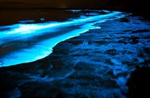 Full Clear Kayak Bioluminescent Experience Vieques, Puerto Rico