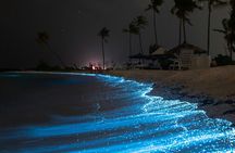 Full Clear Kayak Bioluminescent Experience Vieques, Puerto Rico