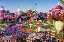 Dubai Miracle Garden Tickets with Round Trip Transfer
