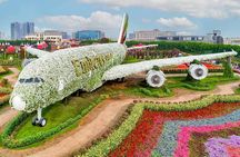 Dubai Miracle Garden Tickets with Round Trip Transfer