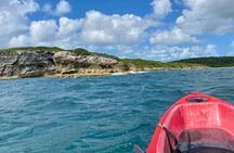 Clear Bottom Kayaking and Snorkel Reef Exploration 