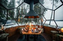 Glass Igloo Campfire Dinner under Northern Lights 