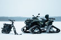 PRIVATE Glass Igloo Dinner Under Northern Lights 