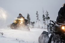 Expedition "INTO THE WILD" Safari and Lunch in Glass Igloo
