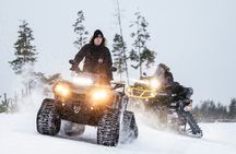 Expedition "INTO THE WILD" Safari and Lunch in Glass Igloo