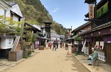 Nikko Private Tour With English Speaking Driver