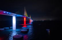 Skyway Light Show Tour Under the Stars
