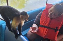 Monkey Island: The Wild Life Safari at Gatun Lake
