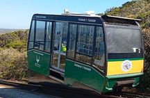 Table Mountain Bo Kaap Penguins and Cape Point Small Group Tour