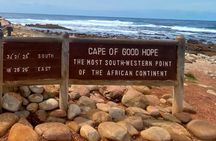 Table Mountain Bo Kaap Penguins and Cape Point Small Group Tour