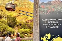 Table Mountain Bo Kaap Penguins and Cape Point Small Group Tour