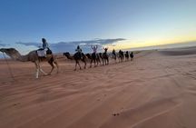 Desert Tours From Marrakech Tour From Marrakech To Zagora 2 Days