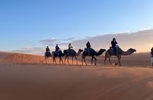 Desert Tours From Marrakech Tour From Marrakech To Zagora 2 Days