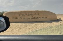 Fayoum Oasis Private Full-Day Tour from Cairo