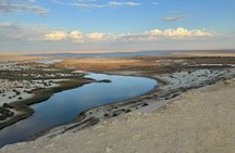 Fayoum Oasis Desert Safari 4x4 & Sandboarding with Cairo Pickup