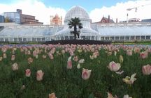 A Unique Belfast Walking Experience