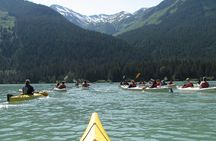 Wilderness Kayak Adventure in Haines
