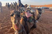 Desert Tours From Marrakech Tour From Marrakech To Zagora 2 Days