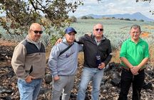 Guachimontones and Teuchitlan archaeological route (private)