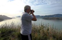 1/2-day Christchurch Scenic Highlights (Private Tour)