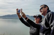 1/2-day Christchurch Scenic Highlights (Private Tour)