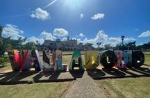 Guided Tour to Chichen Itza, Oxman Cenote and Valladolid City