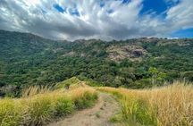 Fiji Lautoka Shore Excursions Tour 