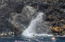 Discovery of the Tahiti Teahupo'o Jurassic Tour peninsula