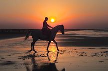 Private Horseback Riding in Muscat Beach