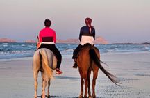 Private Horseback Riding in Muscat Beach