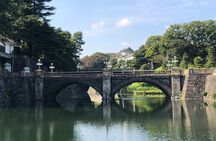 Private Taxi Tour in Tokyo with Government Licensed Guide