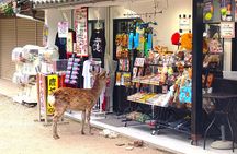 Nara: UNESCO World Heritage Sites Slow Cycling Tour